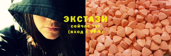 МДПВ Пересвет