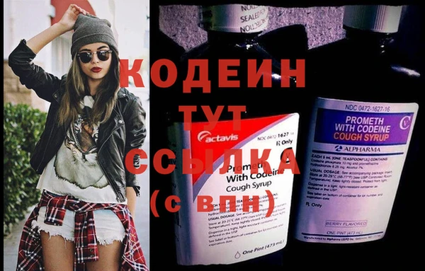 МДПВ Пересвет