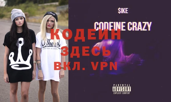 МДПВ Пересвет
