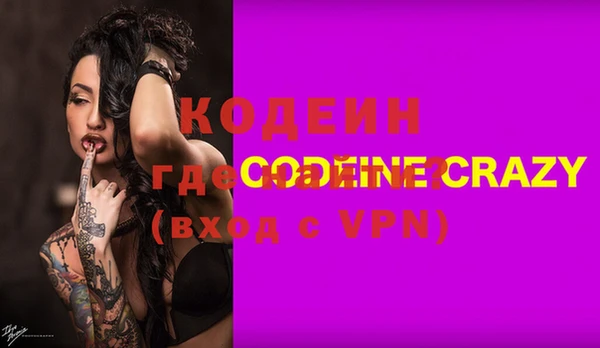 МДПВ Пересвет