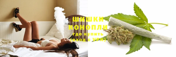 дживик Няндома