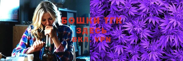 эйфоретик Осинники