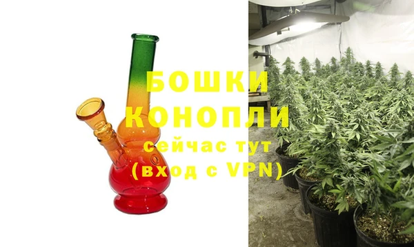 МДПВ Пересвет