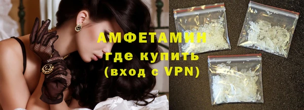 МДПВ Пересвет