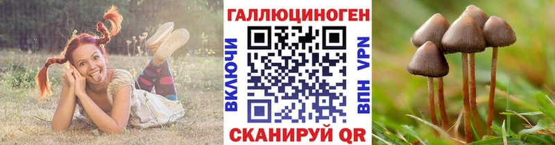 Галлюциногенные грибы ЛСД как найти Курлово